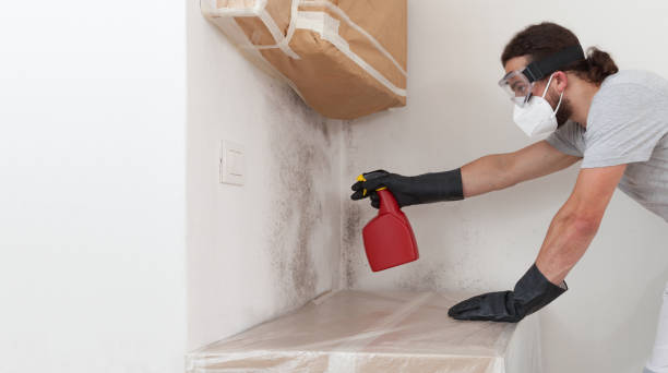 Professional Basement Mold Remediation technician working in Wyandanch, NY