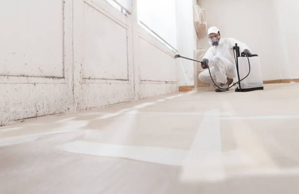 24/7 Emergency Basement Mold Remediation experts in Wyandanch, NY